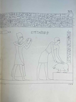 Textes relatifs au mythe d'Horus recueillis dans le temple d'Edfou et pr&eacute;c&eacute;d&eacute;s d'une introduction
