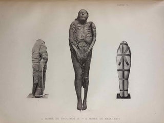 Les momies royales de Deir el-Bahari[newline]M1068a-287.jpg
