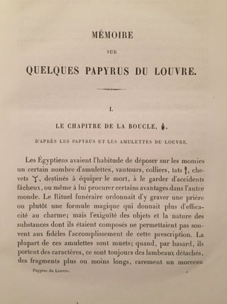 M&eacute;moire sur quelques papyrus du Louvre[newline]M1075-04.jpg