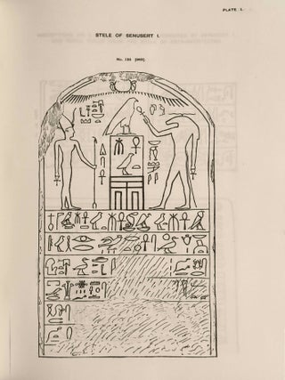 Hieroglyphic texts from Egyptian stelae in the British Museum. Volumes II-VIII (XEROX)[newline]M10818a-10.jpeg