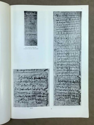 Greek and demotic texts from the Zenon archive. Vol. I: Text. Vol. II: Plates (complete set)[newline]M10868-10.jpeg