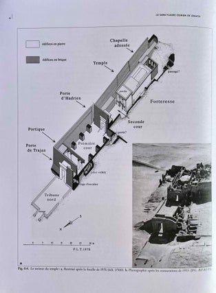 Le sanctuaire osirien de Douch. Travaux de l'Ifao dans le secteur du temple en pierre (1976-1994)