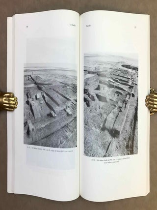 Tell Heboua, 1981-1991. Enqu&ecirc;te arch&eacute;ologique sur la Deuxi&egrave;me P&eacute;riode Interm&eacute;diaire et le Nouvel Empire &agrave; l'extr&eacute;mit&eacute; orientale du Delta.l[newline]M11007-06.jpeg