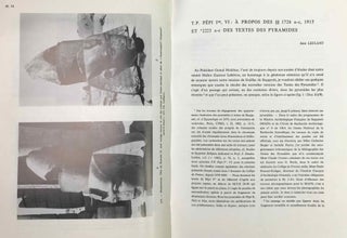 Mélanges Gamal ed-Din Mokhtar. Volumes I & II (complete set)