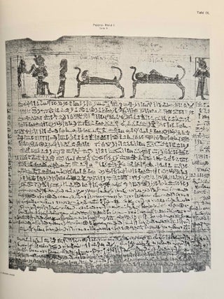 Die beiden Totenpapyrus Rhind des Museums zu Edinburg. Band I: Text. Band II: Tafeln (complete set)[newline]M1112a-09.jpeg