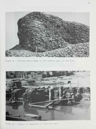 British Museum expedition to middle Egypt. Ashmunein (1980).
