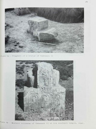 British Museum expedition to middle Egypt. Ashmunein (1980).