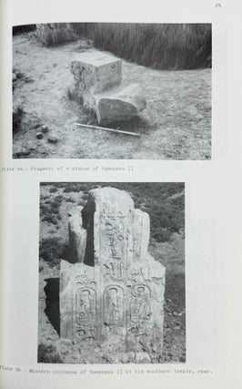 British Museum expedition to middle Egypt. Ashmunein (1980).
