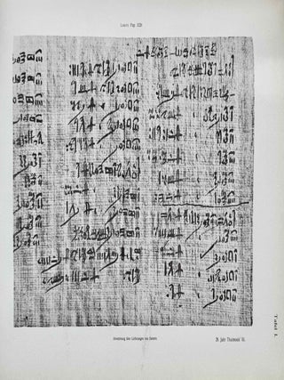 Hieratische Pal&auml;ographie. Die altaegyptische Buchschrift in ihrer Entwicklung von der f&uuml;nften Dynastie bis zur r&ouml;mischen Zeit. Band I, II & III (complete set) + Erg&auml;nzungsheft zu Band I und Band II.[newline]M1120n-12.jpeg