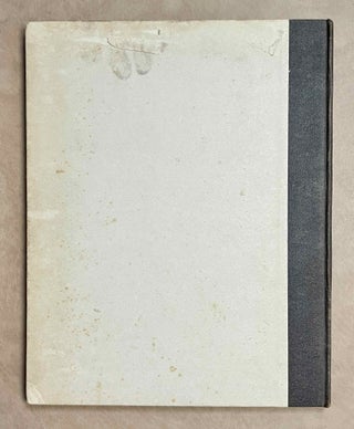 The Bucheum. Vol. II: The inscriptions[newline]M1128b-05.jpeg