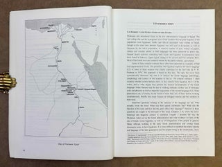 Bilingual notaries in Hellenistic Egypt. A study of Greek as a second language.