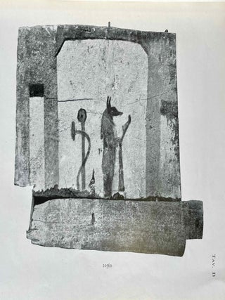 Le casse di mummie e i sarcofagi da El Hibeh nel Museo egizio di Firenze
