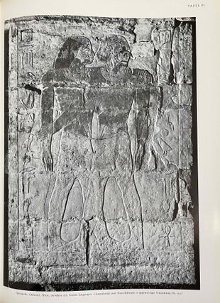 Item #M1164b Das Grab des Nianchchnum und Chnumhotep. MOUSSA Ahmed - ALTENMÜLLER Hartwig[newline]M1164b-00.jpeg
