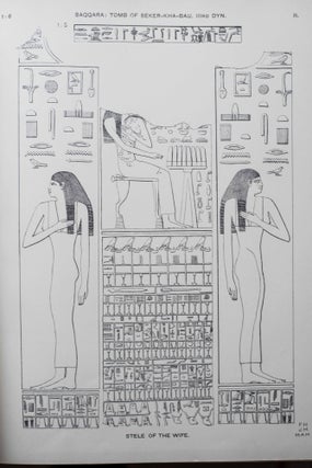 Saqqara mastabas. Part I. And Gurob. Part II. (complete set)[newline]M1181-05.jpg