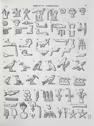 Saqqara mastabas. Part I. And Gurob. Part II. (complete set)[newline]M1181a-11.jpeg