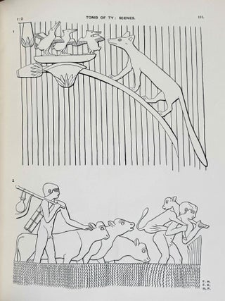 Saqqara mastabas. Part I. And Gurob. Part II. (complete set)[newline]M1181e-18.jpeg