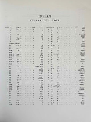 Das &auml;gyptische Todtenbuch der XVIII. bis XX. Dynastie. Aus verschiedenen Urkunden. Zusammengestellt und herausgegeben von Edouard Naville. Einleitung, Band I & II (complete set)[newline]M1188h-12.jpeg