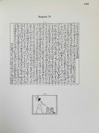 Das &auml;gyptische Todtenbuch der XVIII. bis XX. Dynastie. Aus verschiedenen Urkunden. Zusammengestellt und herausgegeben von Edouard Naville. Einleitung, Band I & II (complete set)[newline]M1188h-15.jpeg