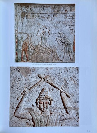 Le tombeau de Pétosiris à Touna el-Gebel. Relevé photographique.,