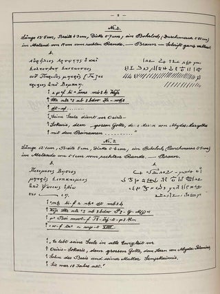 Demotische und griechische Texte auf Mumient&auml;felchen in der Sammlung der Papyrus Erzherzog Rainer[newline]M11927-04.jpeg