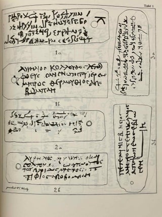 Demotische und griechische Texte auf Mumient&auml;felchen in der Sammlung der Papyrus Erzherzog Rainer[newline]M11927-05.jpeg