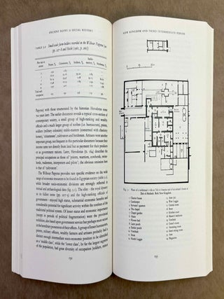 Ancient Egypt. A Social History.[newline]M11975-06.jpeg