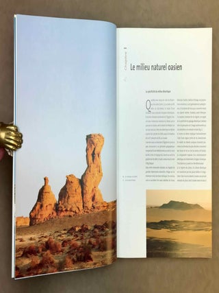 Les oasis d'Egypte dans l'Antiquit&eacute;. Des origines au deuxi&egrave;me mill&eacute;naire avant J.-C.[newline]M12040-06.jpeg