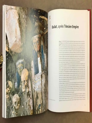Les oasis d'Egypte dans l'Antiquit&eacute;. Des origines au deuxi&egrave;me mill&eacute;naire avant J.-C.[newline]M12040-07.jpeg