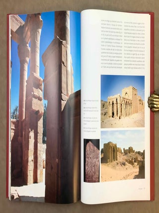 Les oasis d'Egypte dans l'Antiquit&eacute;. Des origines au deuxi&egrave;me mill&eacute;naire avant J.-C.[newline]M12040-08.jpeg
