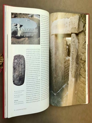 Les oasis d'Egypte dans l'Antiquit&eacute;. Des origines au deuxi&egrave;me mill&eacute;naire avant J.-C.[newline]M12040-09.jpeg