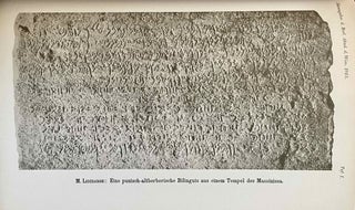 Eine punisch-altberberische Bilinguis aus einem Tempel des Massinissa