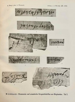 Phönizische und aramäische Krugaufschriften aus Elephantine