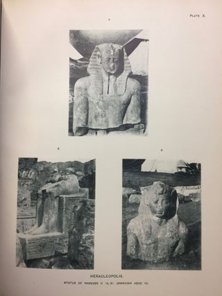 Ahnas el-Medineh and The tomb of Paheri at El-Kab. With chapters on Mendes, the nome of Thoth and Leontopolis by Edouard Naville. And appendix on Byzantine sculptures by Professor T. Hayter Lewis.[newline]M1207a-07.jpg