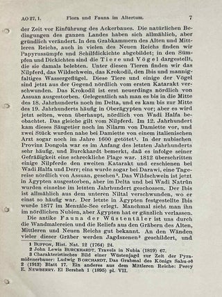 &Auml;gypten als Feld f&uuml;r anthropologische Forschung[newline]M1208-07.jpeg