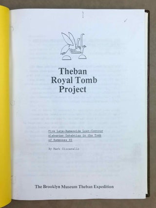 Theban Royal Tomb Project (1978-1979). XEROX.[newline]M12125-03.jpeg