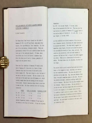 Theban Royal Tomb Project (1978-1979). XEROX.[newline]M12125-04.jpeg