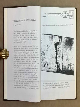 Theban Royal Tomb Project (1978-1979). XEROX.[newline]M12125-05.jpeg