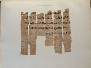 The Amherst papyri. Being an account of the Egyptian Papyri in the collection of the Right Hon. Lord Amherst of Hacknet, F.S.A., at Didlington Hall, Norfolk. With an appendix on a coptic papyrus, by W.E. Crum. Vol. I.[newline]M1214-09.jpg