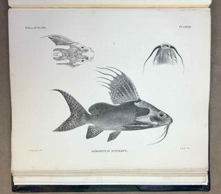 Item #M12173 Zoology of Egypt. The fishes of the Nile. 2 volumes (complete set). BOULENGER George...