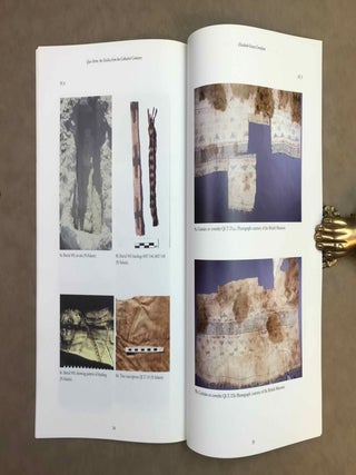 Qasr Ibrim. The textiles from the cathedral cemetery.[newline]M12292-06.jpeg