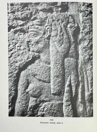 Le temple d'el-Qala. Tome I: Relevé des scènes et des textes; sanctuaire central, sanctuaire nord, salle des offrandes, n°1-112.