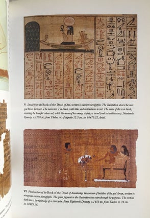 Papyrus[newline]M1233a-02.jpg