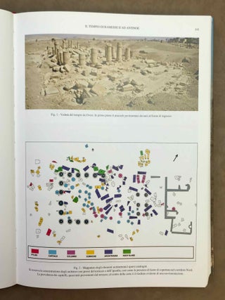 Antinoupolis. Vol. II.[newline]M12455-05.jpeg