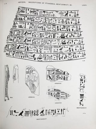 Abydos. Part I. 1902 (only, out of 3)[newline]M1258g-12.jpg