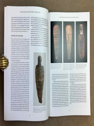 Between Heaven and Earth. Birds in Ancient Egypt.[newline]M12628-04.jpeg