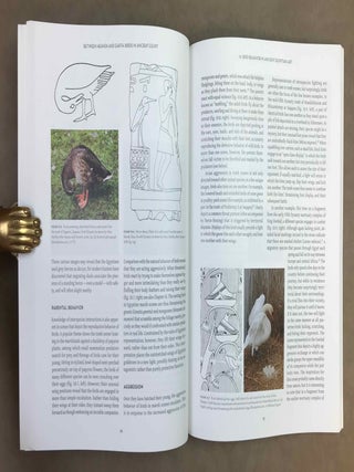 Between Heaven and Earth. Birds in Ancient Egypt.[newline]M12628-06.jpeg
