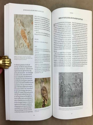 Between Heaven and Earth. Birds in Ancient Egypt.[newline]M12628-07.jpeg