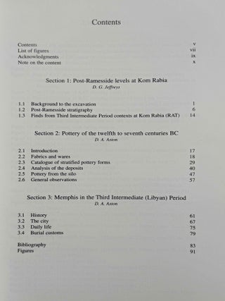 The Survey of Memphis III. Excavations at Kom Rabia (Site Rat), post-Ramesside levels and pottery.[newline]M12636a-02.jpeg