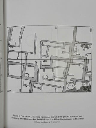 The Survey of Memphis III. Excavations at Kom Rabia (Site Rat), post-Ramesside levels and pottery.[newline]M12636a-04.jpeg