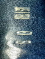 Item #M1264e Genesis in Egypt. The Philosophy of Ancient Egyptian Creation Accounts. ALLEN James P.[newline]M1264e-00.jpeg
